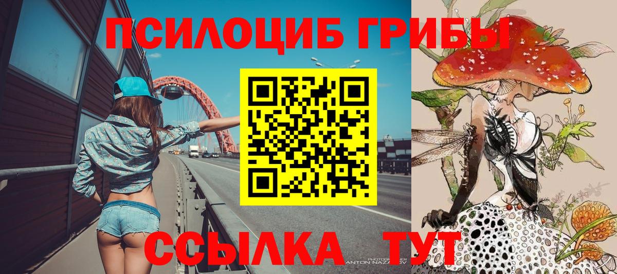 Барнаул  Псилоцибиновые грибы GOLDEN TEACHER  Вход с VPN 