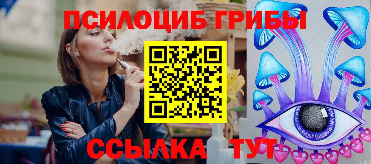 Псилоцибиновые грибы Cubensis Барнаул